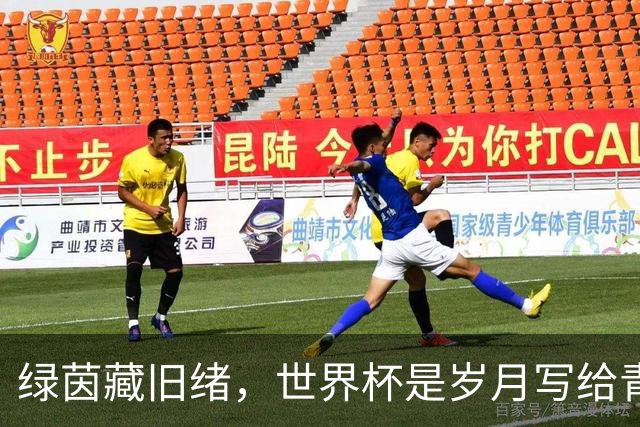 绿茵藏旧绪，世界杯是岁月写给青春的信